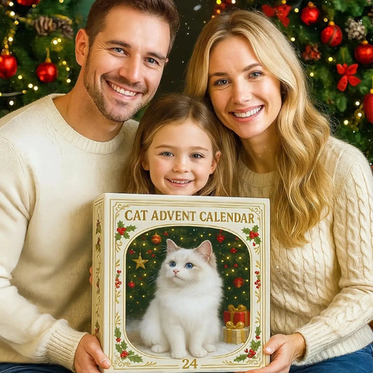 Adventskalender Für Katzenliebhaber – 24 Niedliche Kätzchen-Ornamente 1